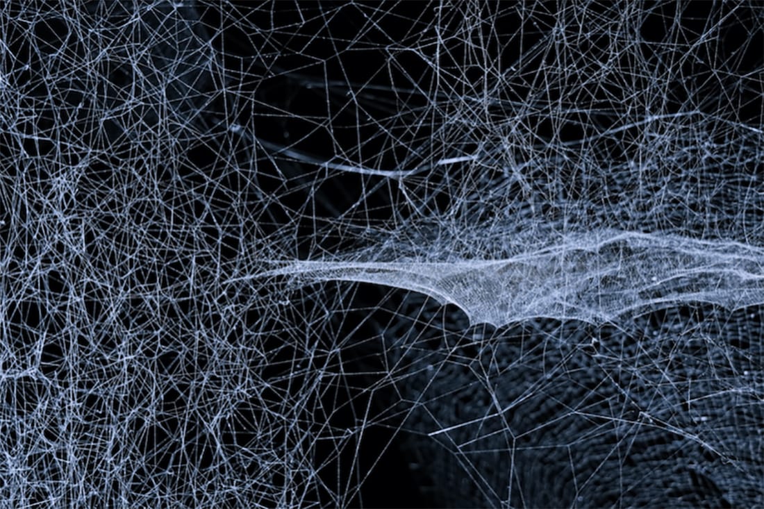 fascia-the-bodys-communication-system